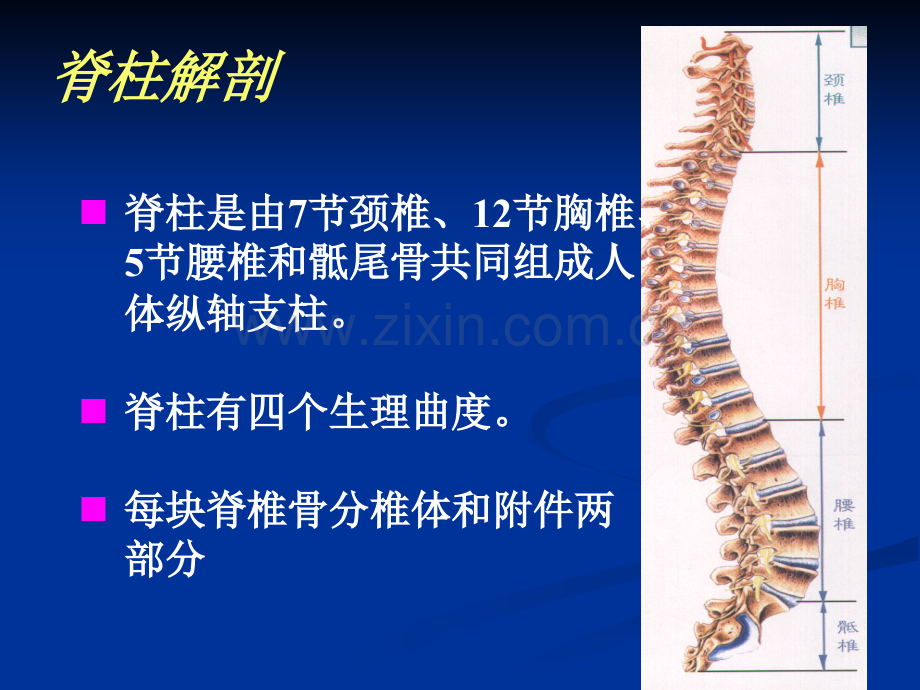 PPT医学课件脊柱骨折固定与搬运讲义.ppt_第2页