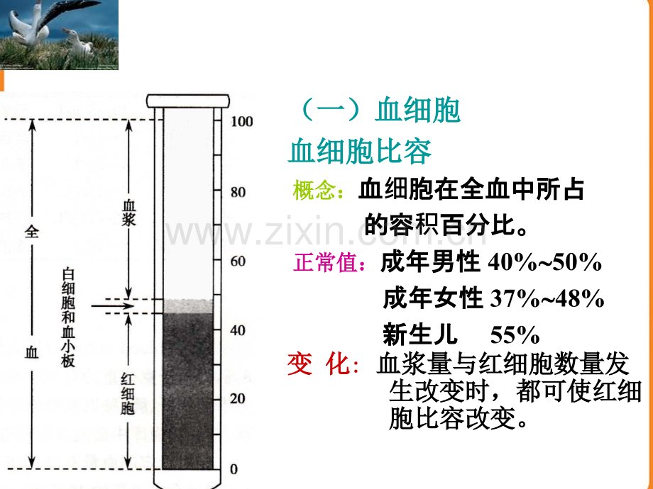 内有纤维蛋白原和凝血因子血清.pptx_第2页