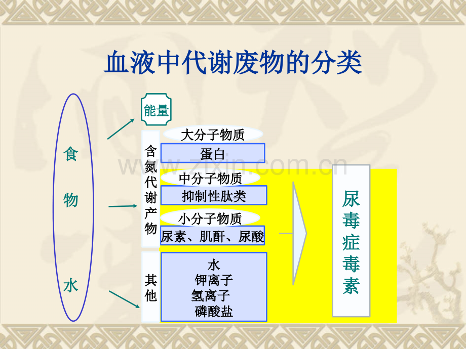 PPT医学课件血液透析原理讲义.ppt_第3页