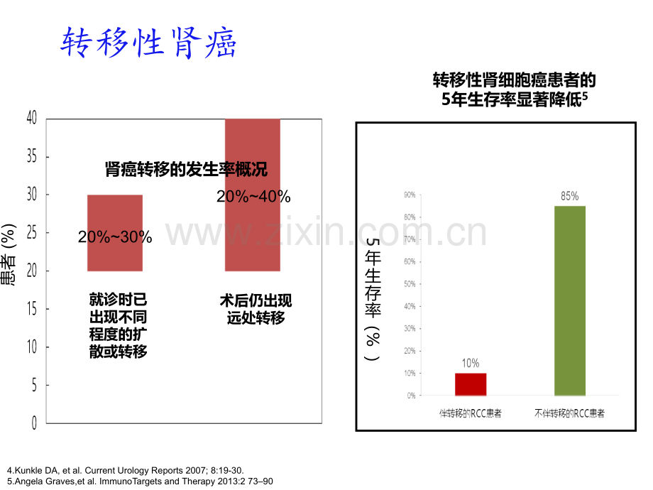 转移性肾细胞癌靶向治疗选择.ppt_第3页