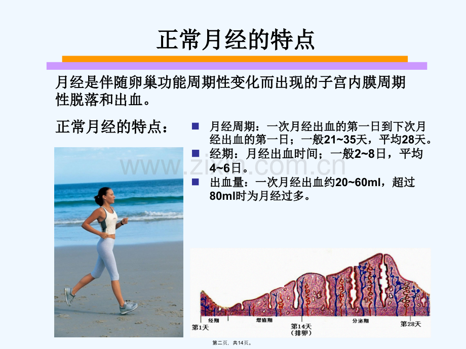 异常子宫出血的常见原因.ppt_第2页