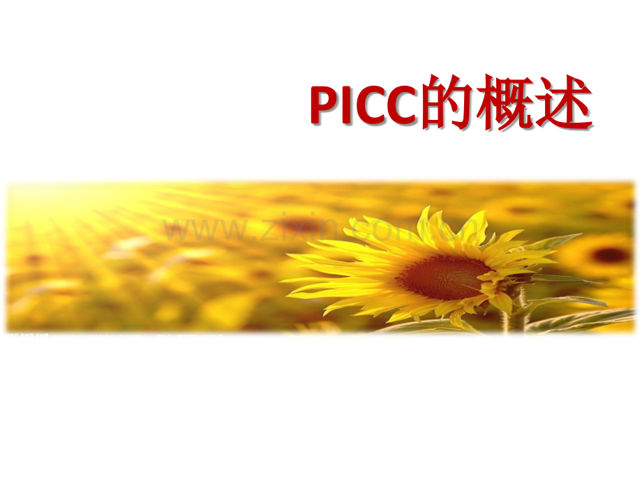 picc置管医疗护理讲义.ppt_第3页