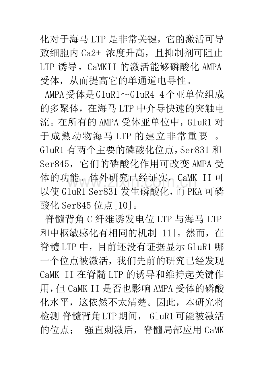 CaMK-II在脊髓背角LTP中调节AMPA受体GluR1亚单位的磷酸化.docx_第3页