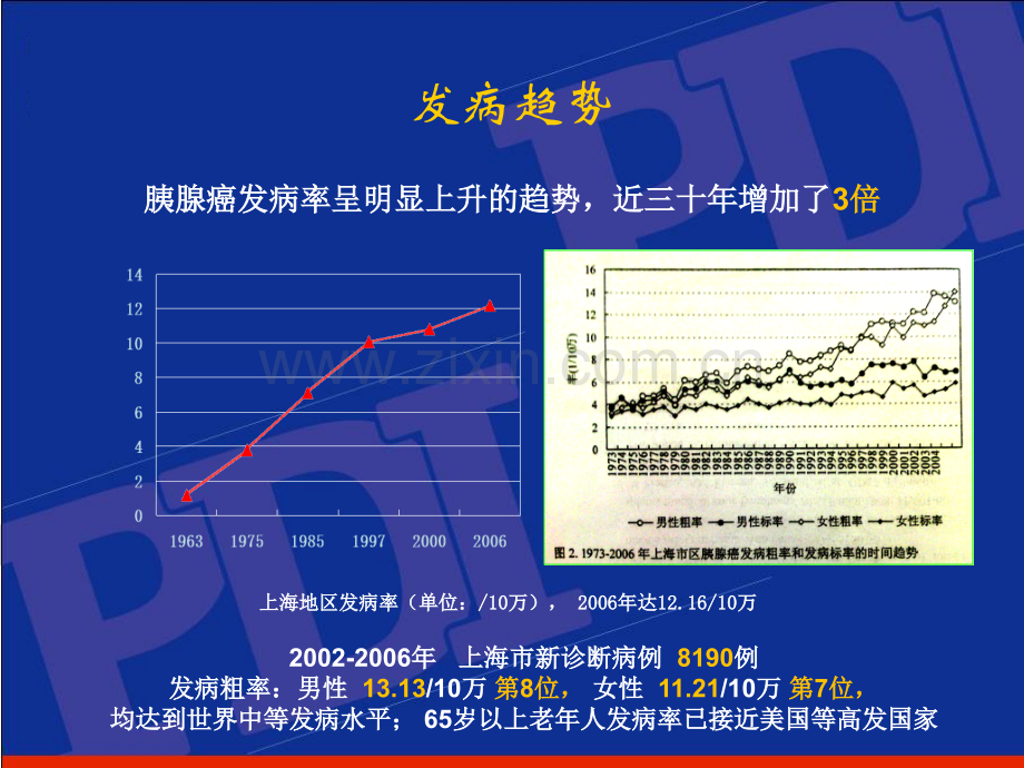 PETCT在胰腺癌诊治中的运用.ppt_第3页