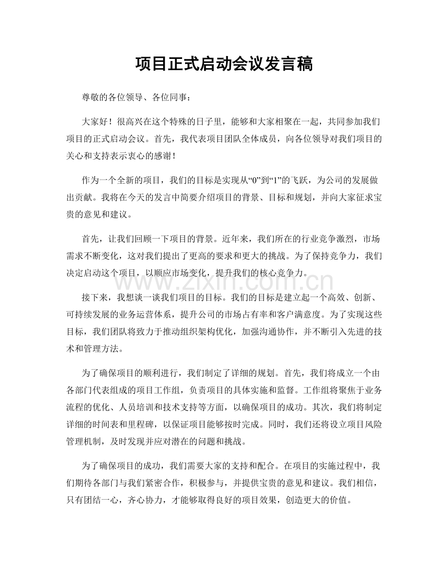 项目正式启动会议发言稿.docx_第1页