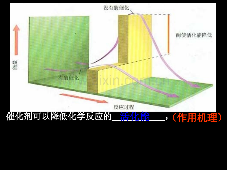 复习5细胞的能量供应和利用.ppt_第3页