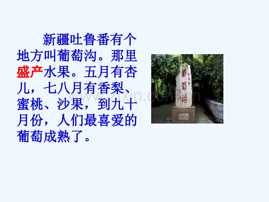 《葡萄沟》(北京版三年级语文上册).ppt_第3页