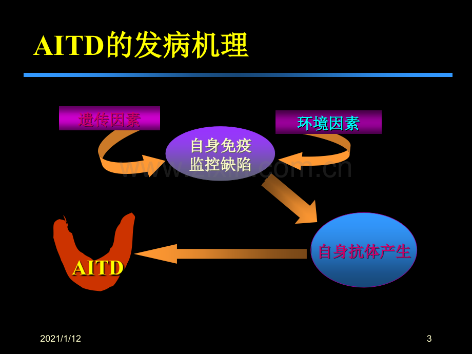 甲亢治疗新见解.ppt_第3页