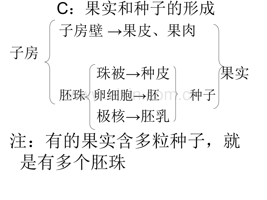 生物生殖和发育复习.pptx_第3页