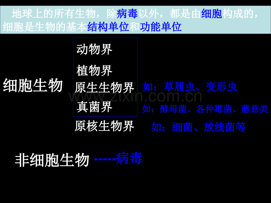 高考生物总复习--病毒.ppt_第2页