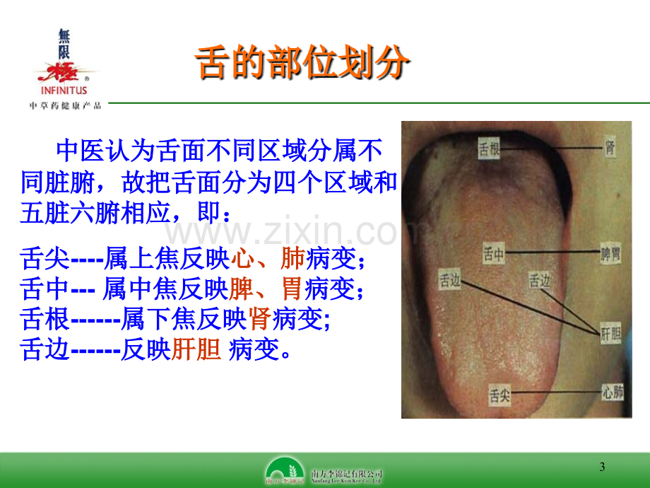 中医舌诊讲解医疗讲义.ppt_第3页