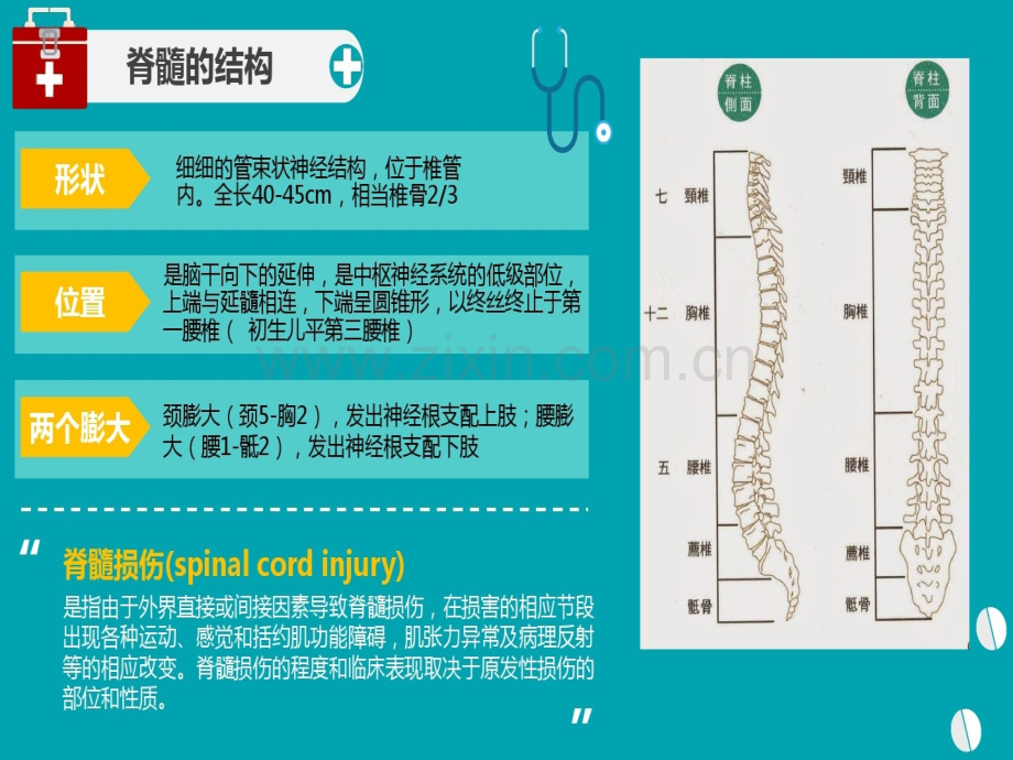 PPT医学课件脊髓损伤护理查房讲义.ppt_第3页