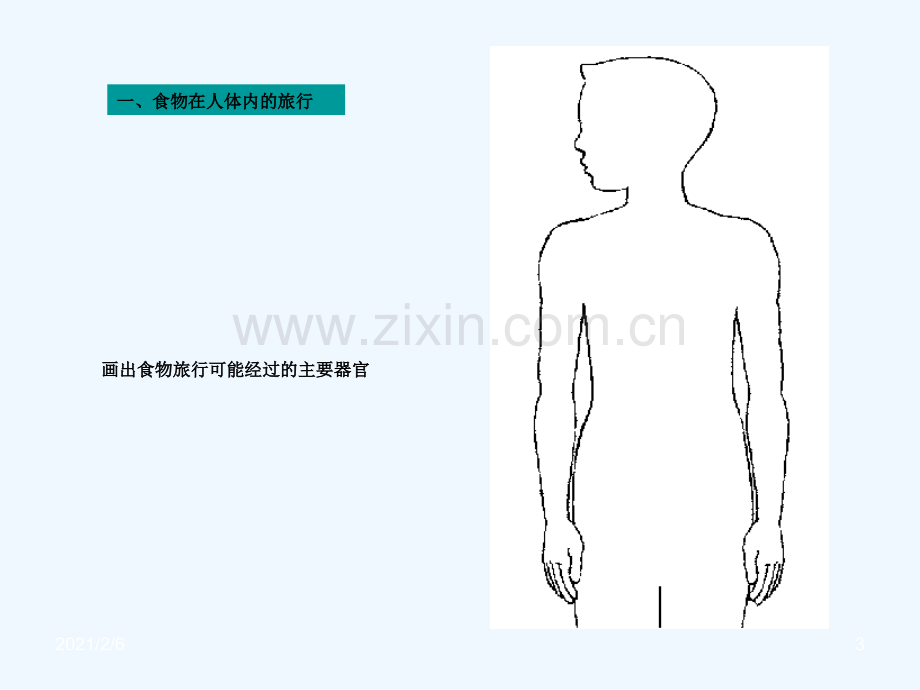 食物在体内旅行》.ppt_第3页