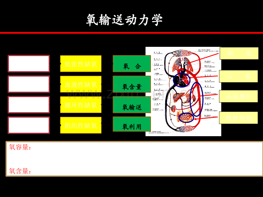 氧疗技术复旦大学附属儿科医院.ppt_第2页