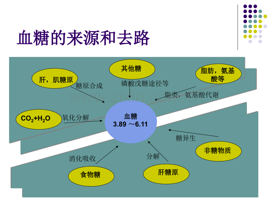 ICU患者血糖的控制-医学课件.ppt_第1页