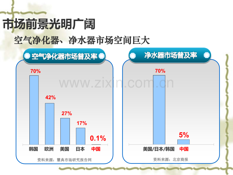 净水器市场分析.ppt_第2页