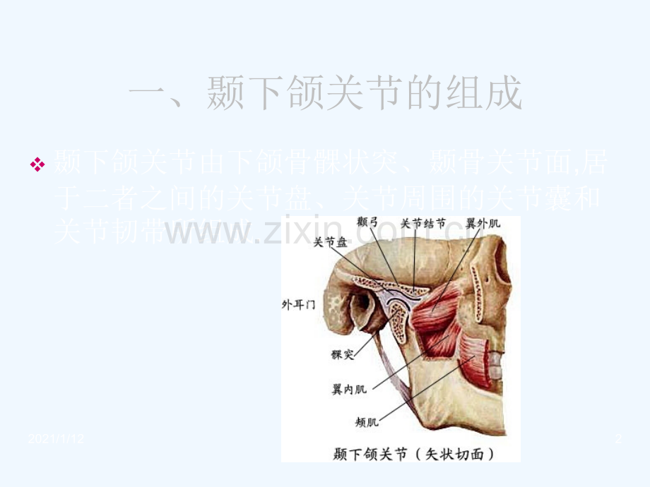 面部肌肉神经局解.ppt_第2页