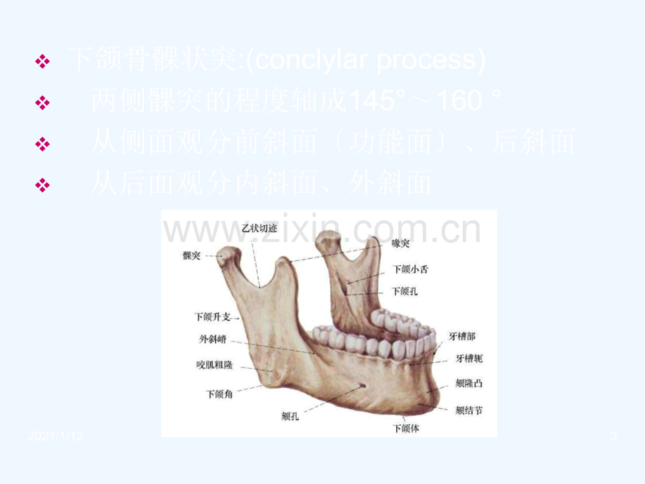 面部肌肉神经局解.ppt_第3页