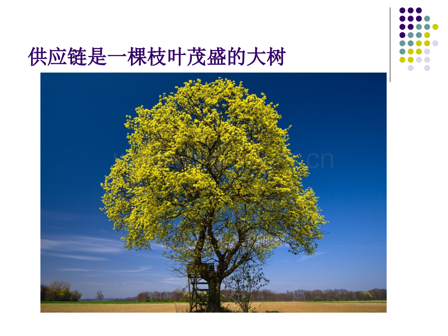 认识供应链.ppt_第3页