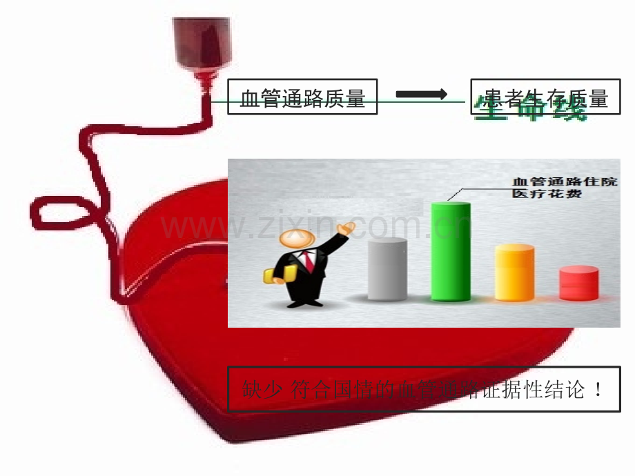 PPT医学课件血液透析患者临时血管通路及护理讲义.ppt_第2页