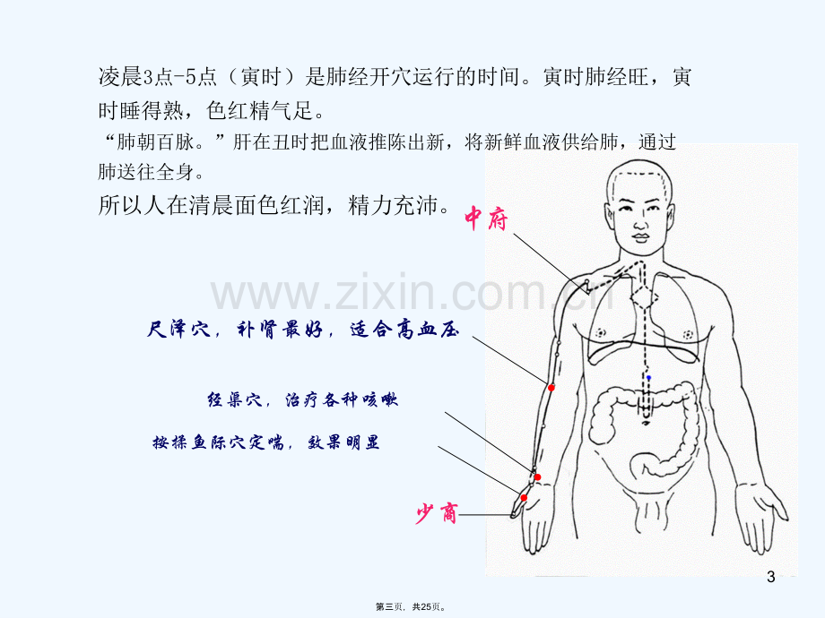 十二经络养生课件.ppt_第3页