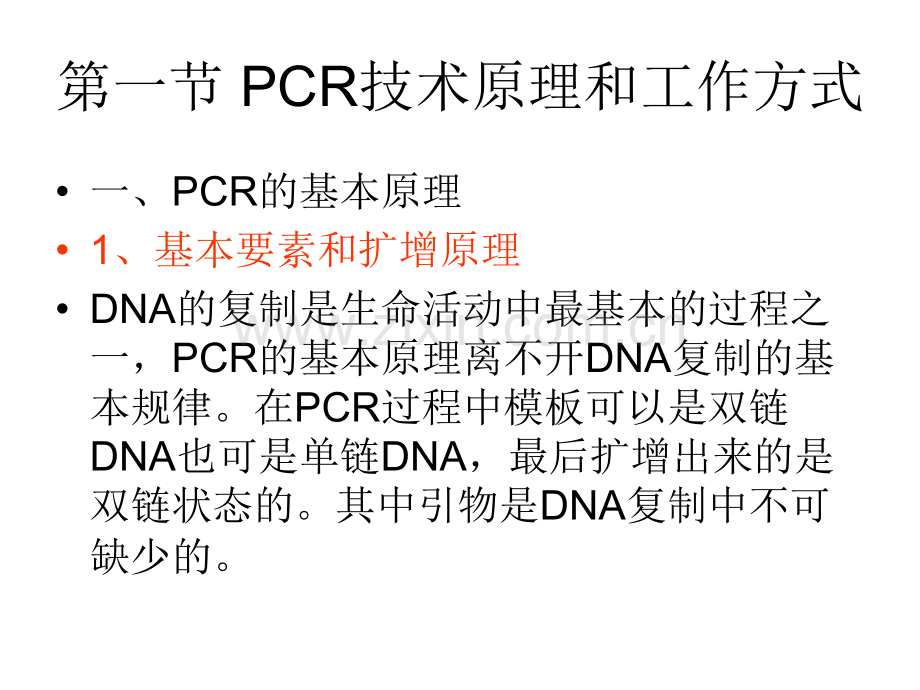 PCR扩增原理及过程ppt.ppt_第2页