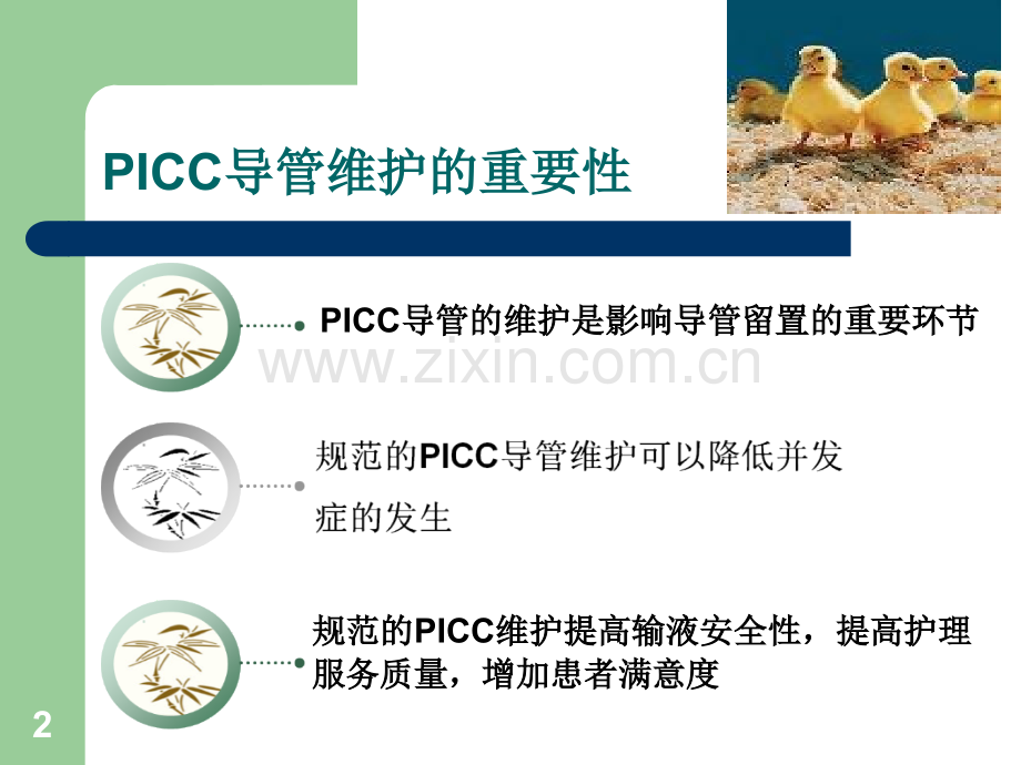 PICC维护讲义.ppt_第2页