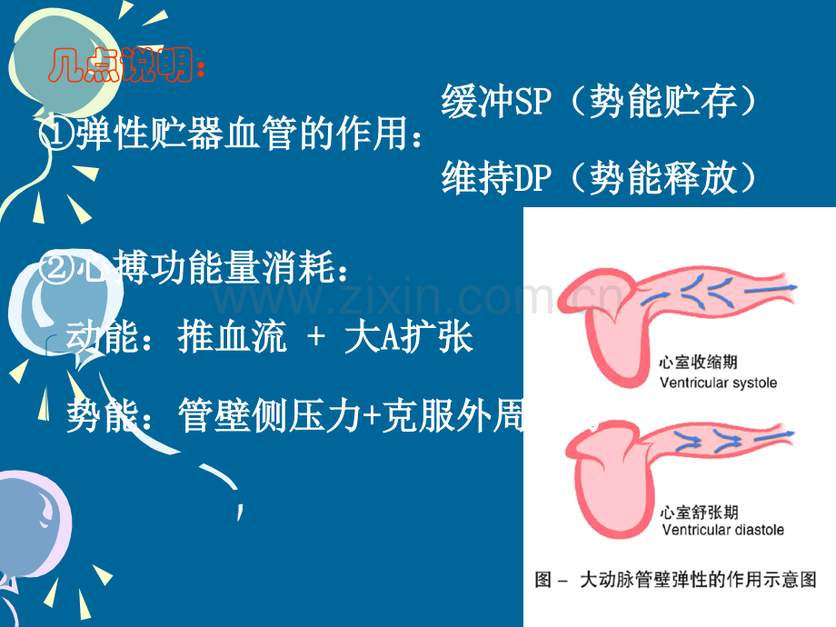 动脉血压形成机制PPT课件.ppt_第2页