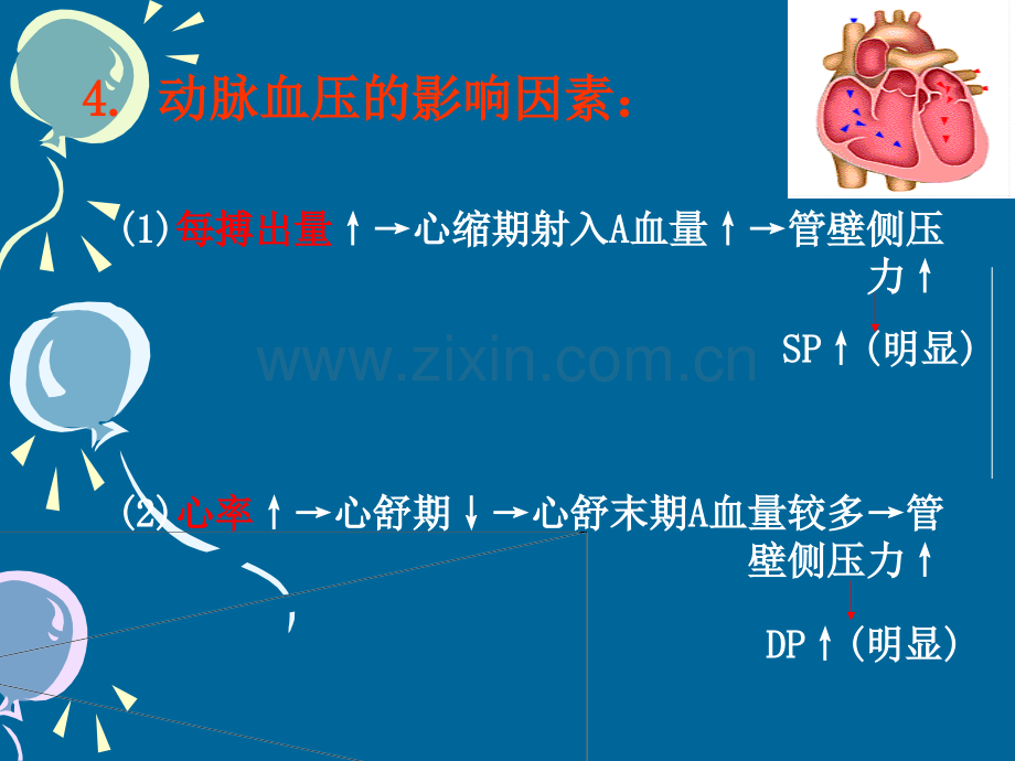 动脉血压形成机制PPT课件.ppt_第3页