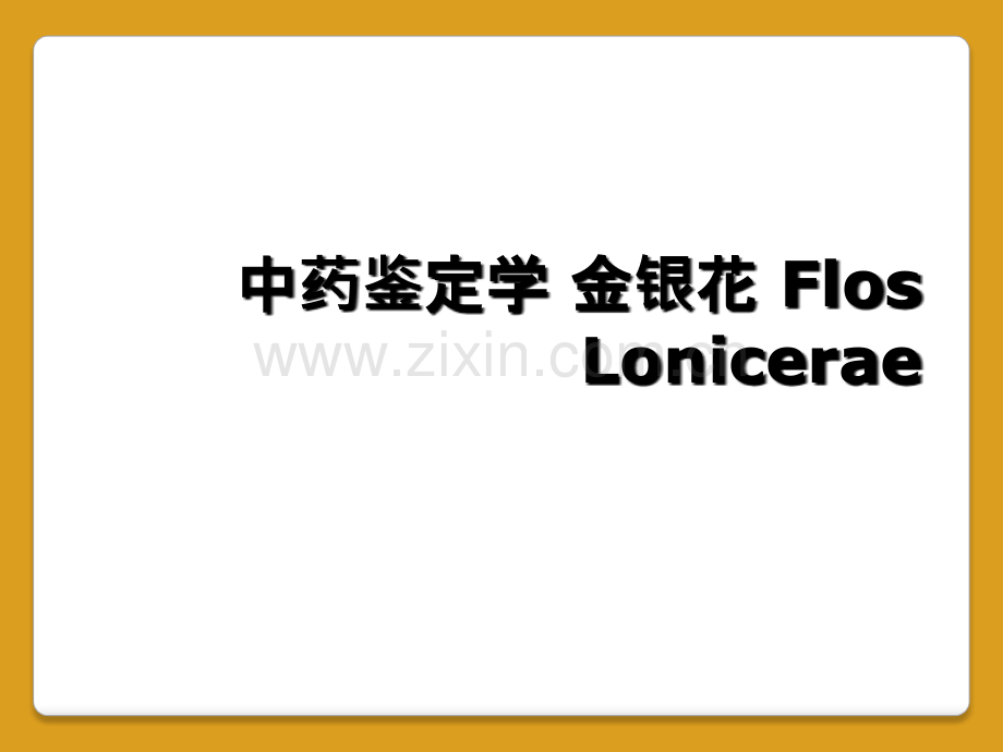 中药鉴定学-金银花-Flos-Lonicerae.ppt_第1页