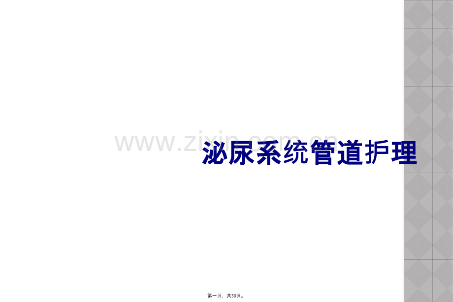 泌尿系统管道护理.ppt_第2页