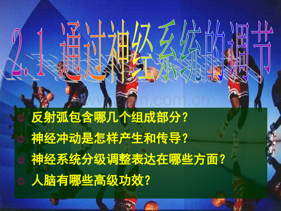 生物通过神经系统的调节新人教版必修省公共课一等奖全国赛课获奖课件.pptx_第1页