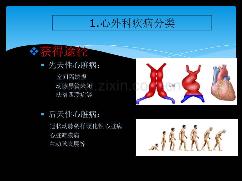 心脏疾病直视手术治疗.ppt_第3页