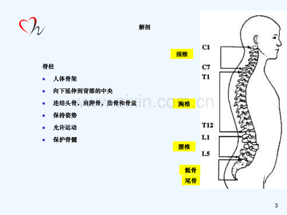 脊髓损伤患者的护理.ppt_第3页