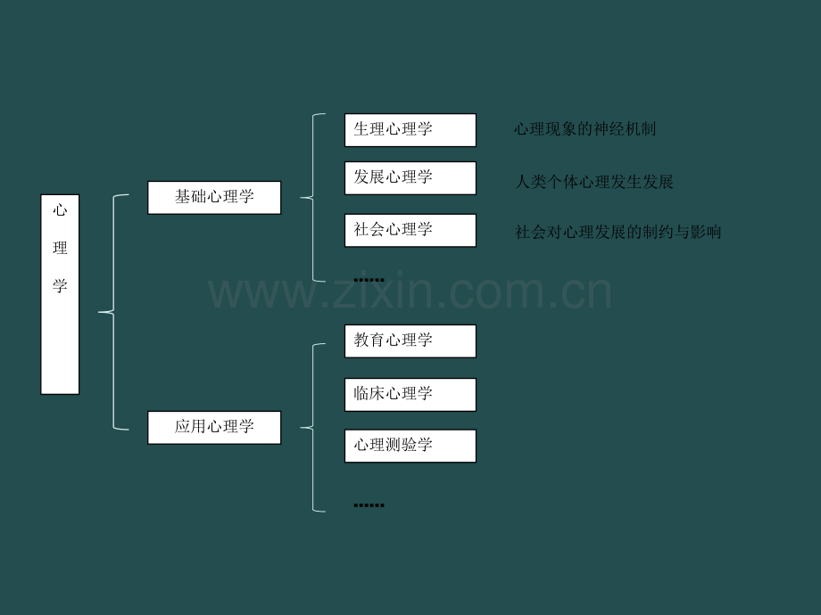 心理咨询师考试基础心理学知识.pptx_第2页