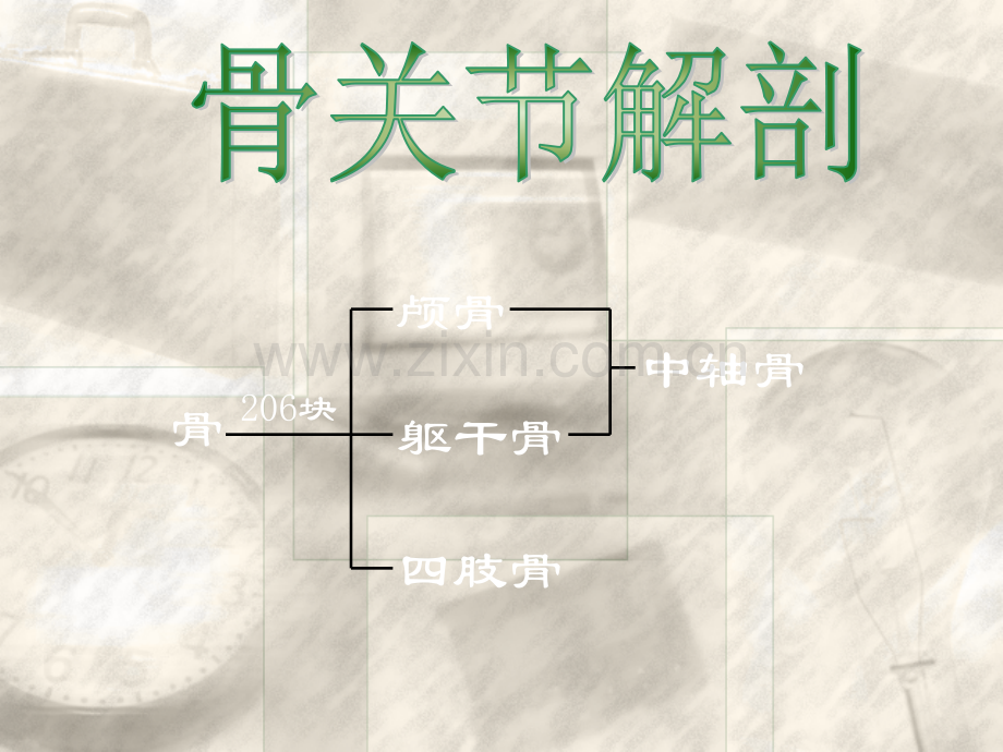 概述常见四肢骨折病人护理.ppt_第3页