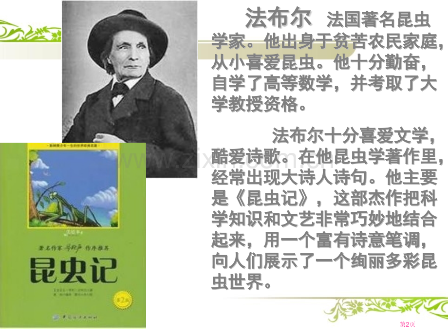 蟋蟀的住宅课件8省公开课一等奖新名师优质课比赛一等奖课件.pptx_第2页