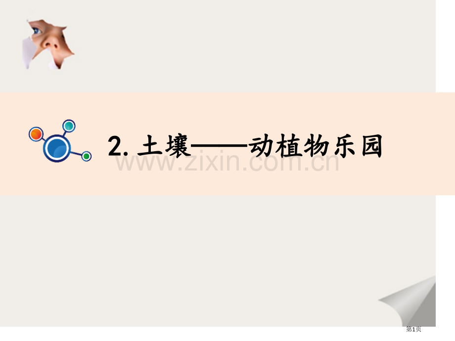 土壤动植物的乐园课件省公开课一等奖新名师优质课比赛一等奖课件.pptx_第1页