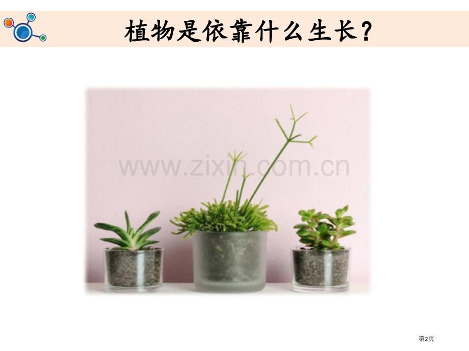 土壤动植物的乐园课件省公开课一等奖新名师优质课比赛一等奖课件.pptx_第2页