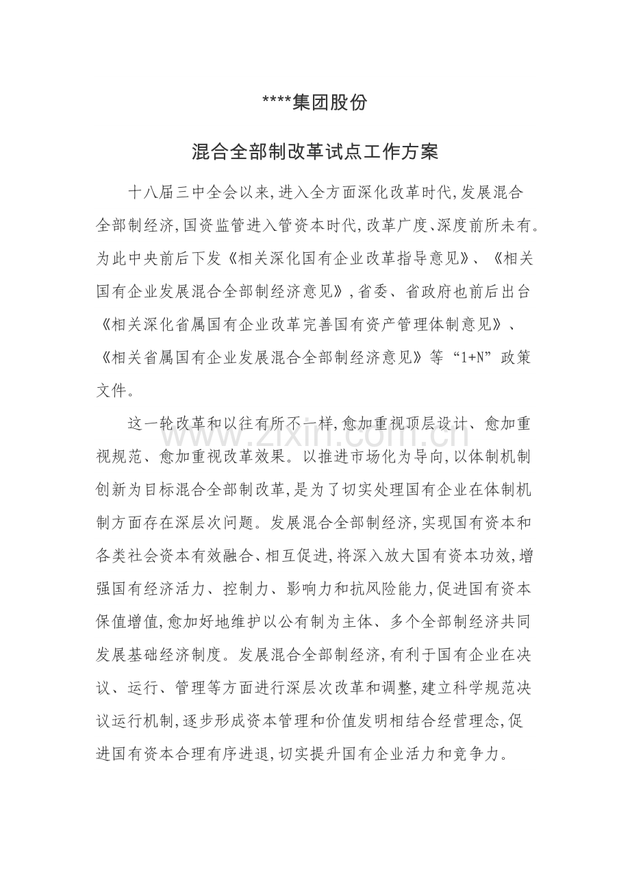 公司混合所有制改革试点工作专业方案.docx_第1页