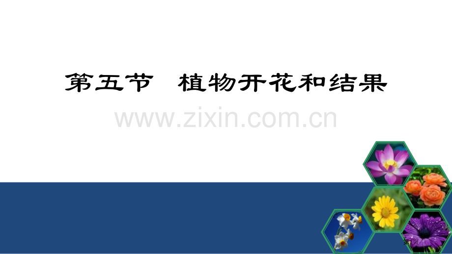 植物的开花和结果教学课件省公开课一等奖新名师优质课比赛一等奖课件.pptx_第1页