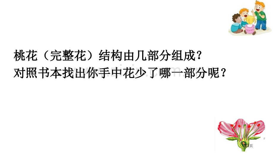 植物的开花和结果教学课件省公开课一等奖新名师优质课比赛一等奖课件.pptx_第3页