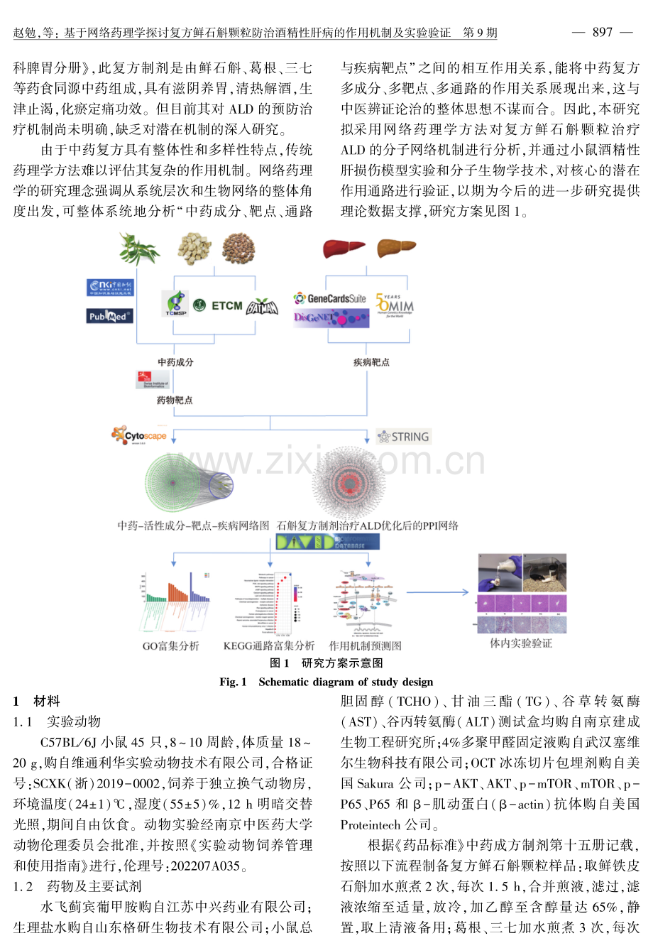 基于网络药理学探讨复方鲜石斛颗粒防治酒精性肝病的作用机制及实验验证.pdf_第3页