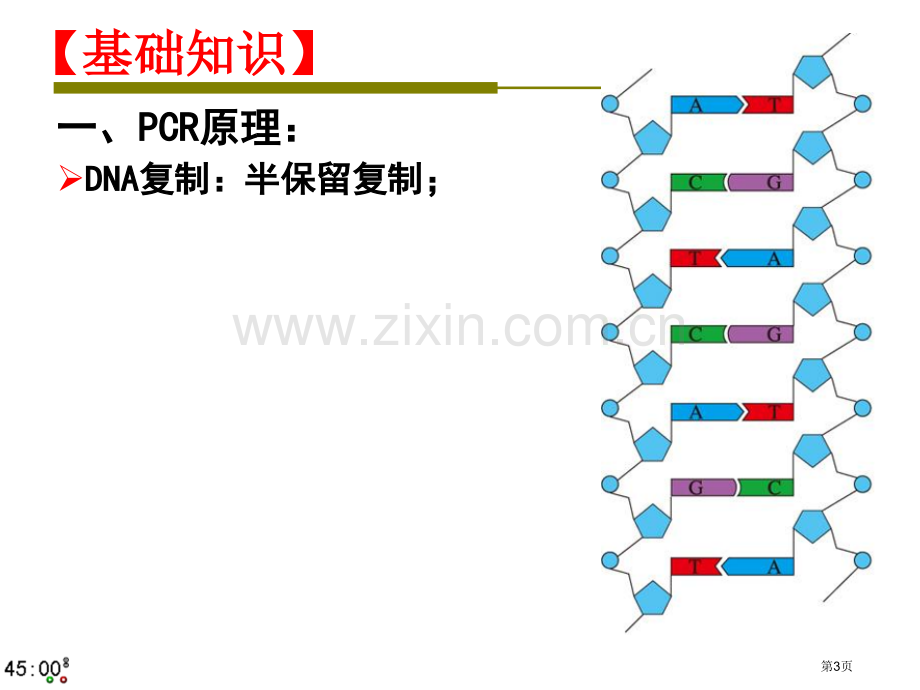 专题复习PCR技术省公共课一等奖全国赛课获奖课件.pptx_第3页