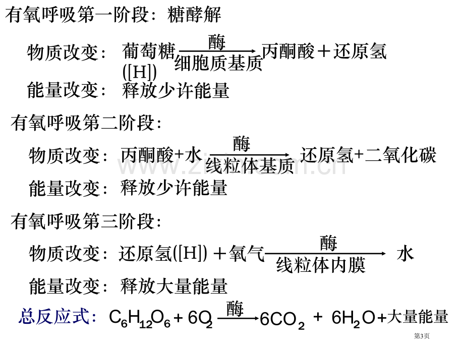 人教版教学云南省弥勒县庆来中学高一生物细胞呼吸6省公共课一等奖全国赛课获奖课件.pptx_第3页