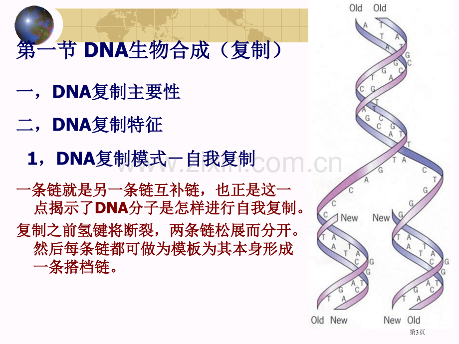 生物化学0市公开课一等奖百校联赛特等奖课件.pptx_第3页