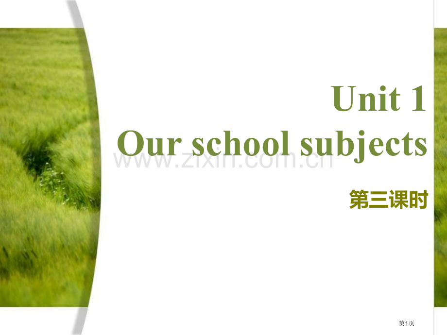 Our-school-subjects省公开课一等奖新名师优质课比赛一等奖课件.pptx_第1页