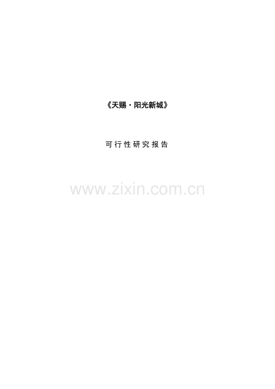 新城可行性专题研究报告.docx_第1页