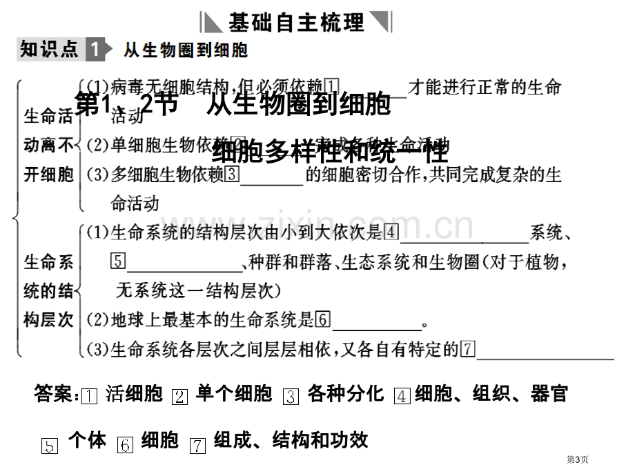 届高考生物第一轮基础自主梳理复习3市公开课一等奖百校联赛特等奖课件.pptx_第3页