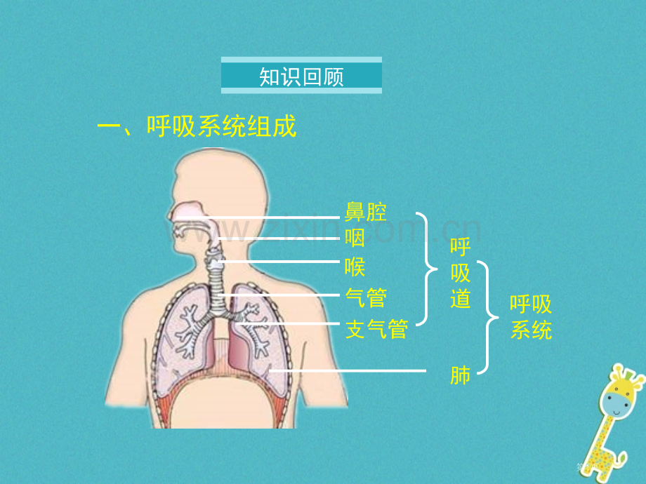 七年级生物下册第三章第二节发生在肺内的气体交换市公开课一等奖百校联赛特等奖大赛微课金奖PPT课件.pptx_第1页